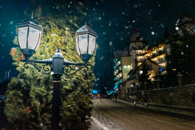 street-lights-on-the-background-of-snow-covered-fir-trees