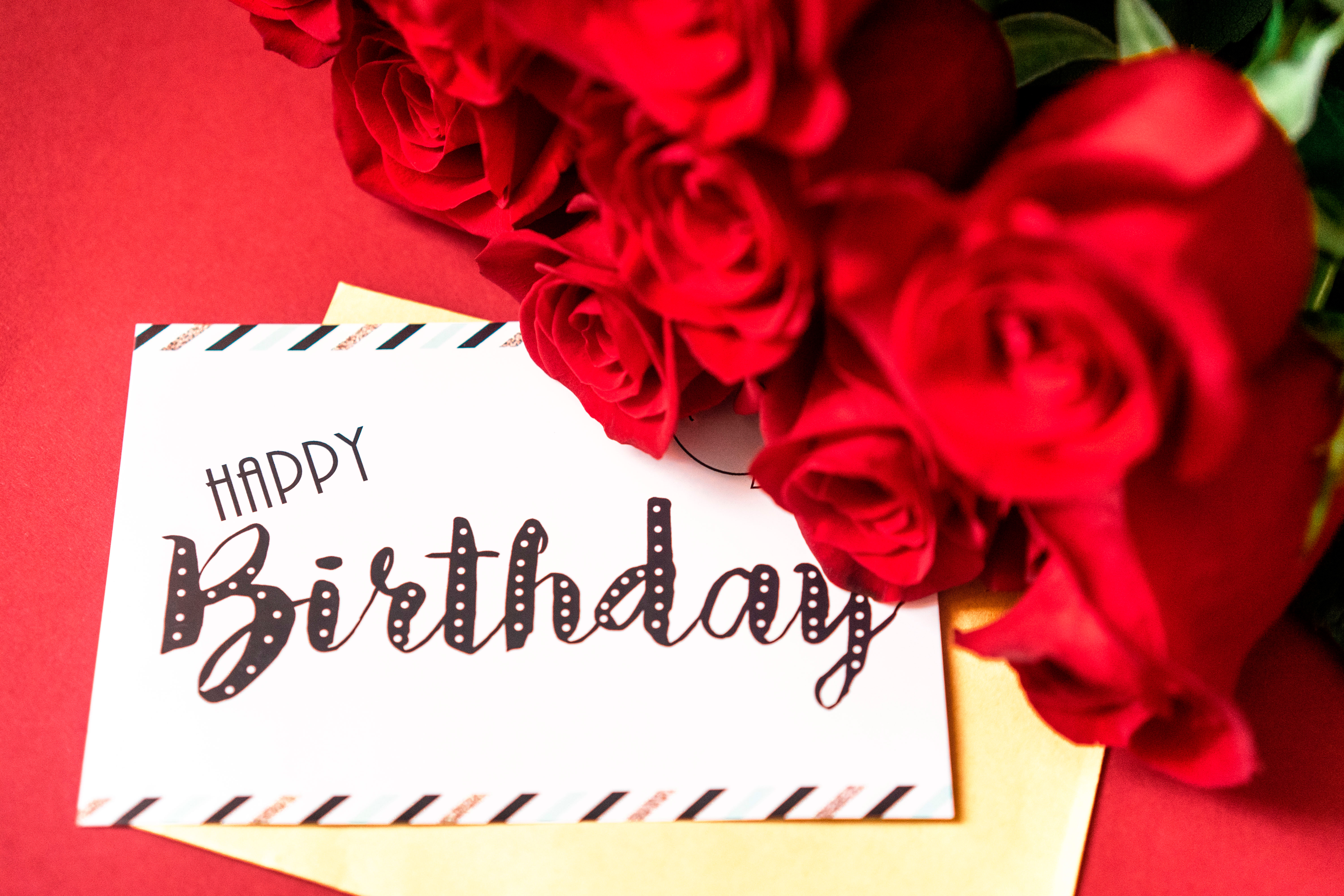 Happy Birthday Flowers on Red Background - Free Stock Photo Download - 765