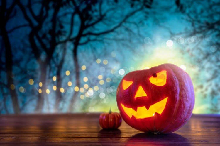 halloween-pumpkin-on-the-blurred-forest-background