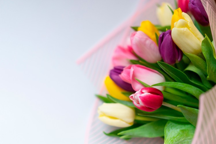 a-bouquet-of-tulips-for-the-holiday