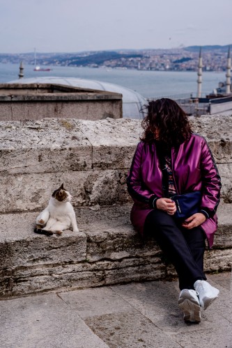woman-looks-at-the-street-cat-in-istanbul