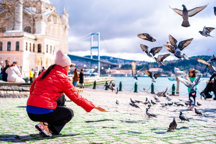 woman-feeds-pigeons-on-the-street