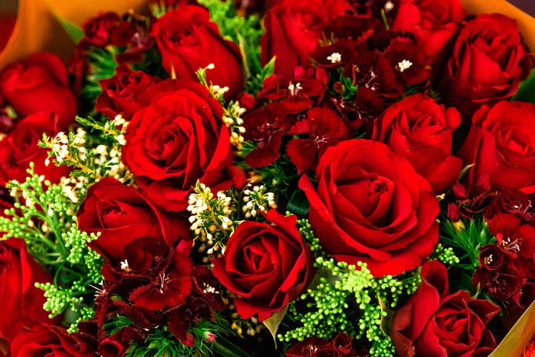 bouquet-of-the-red-roses