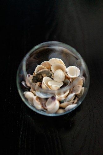 vase-with-seashells-on-the-dark-surface