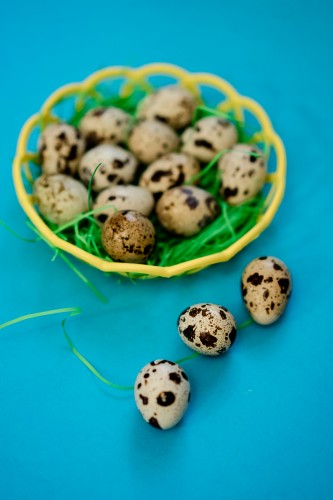 plate-with-quail-eggs-on-the-blue-surface