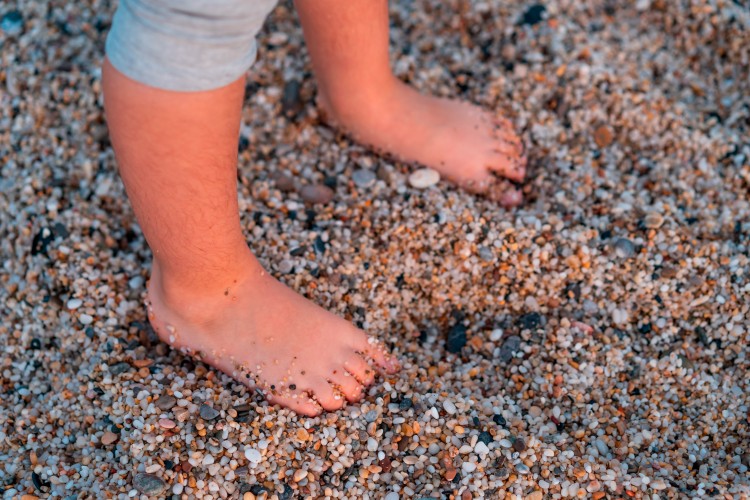 a-child-on-the-sandy-seashore30204