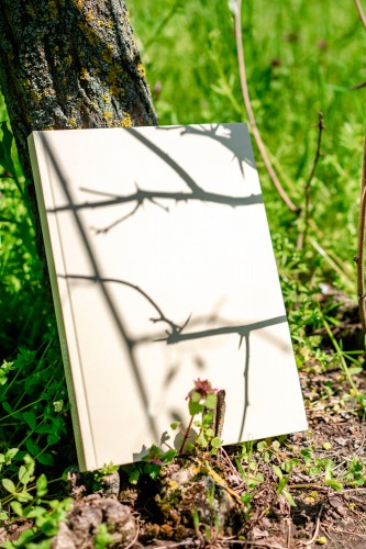 book-catalogue-near-the-tree-in-the-park