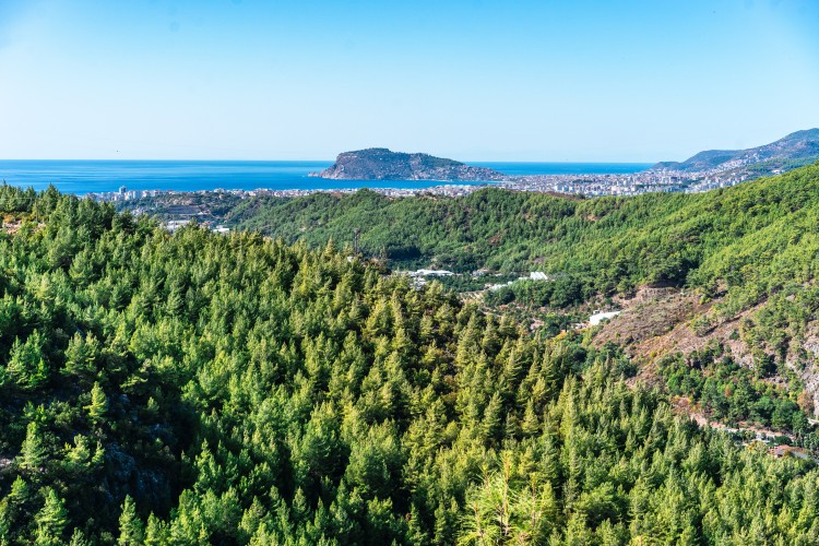 aerial-view-of-forest-in-alanya