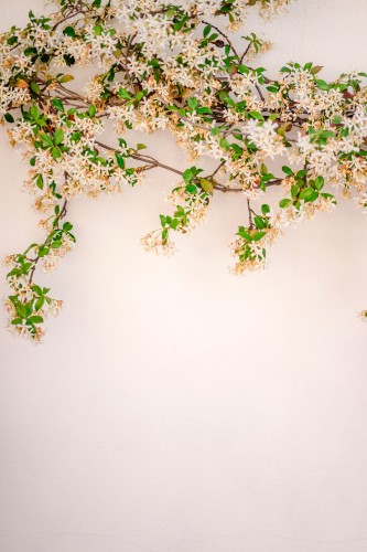 blooming-tree-on-the-wall
