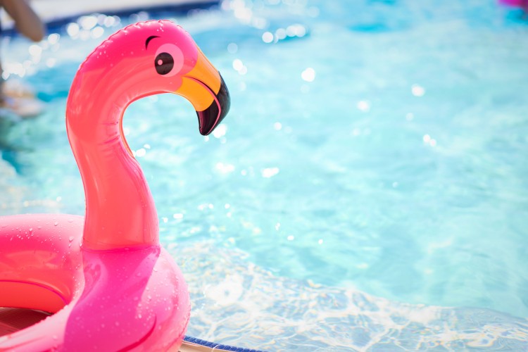 pink-flamingo-pool-float