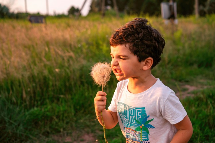 little-boy-with-a-white-dandelion-in-his-hand
