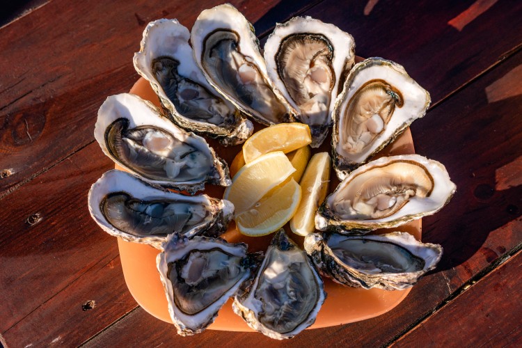 fresh-oysters-with-lemon