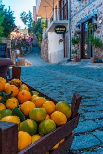 turkish-tangerines-on-the-city-background