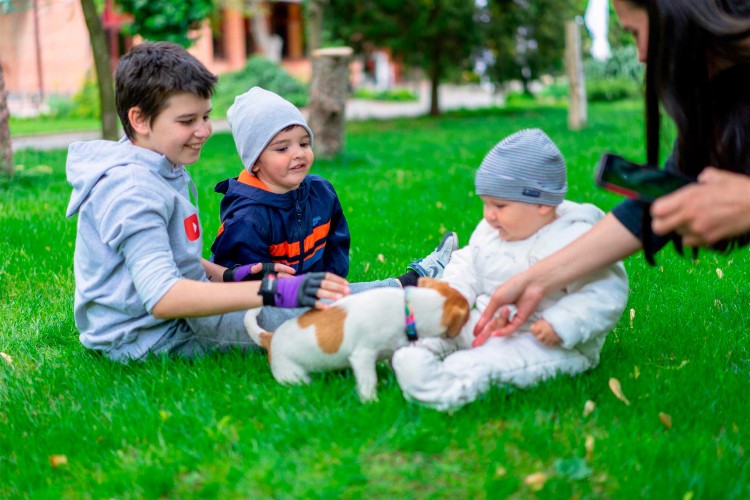 kids-with-a-dog-on-green-grass