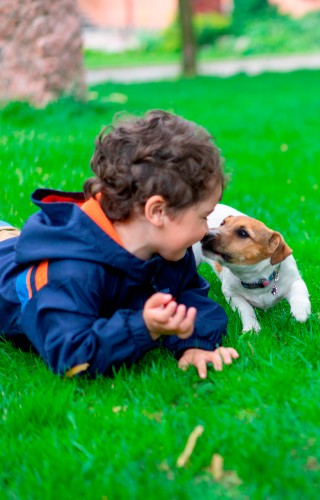 kid-plays-with-a-dog-on-the-lawn