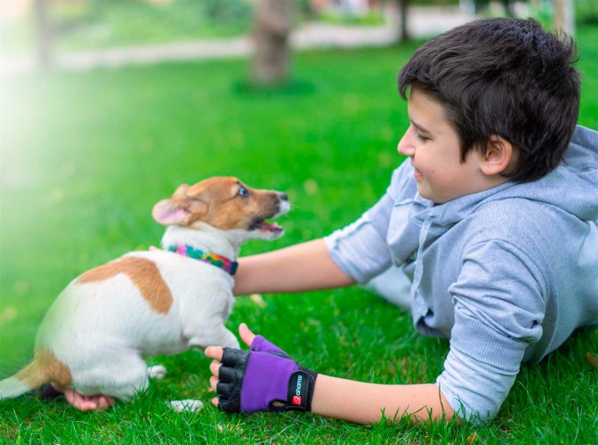 boy-with-a-dog-on-the-grass