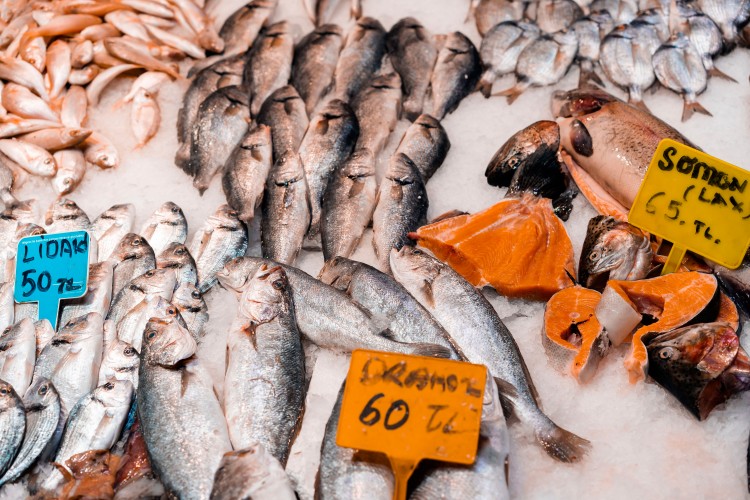fresh-fish-with-the-price-tags