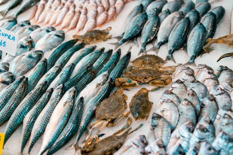 fresh-seafood-at-the-turkish-market