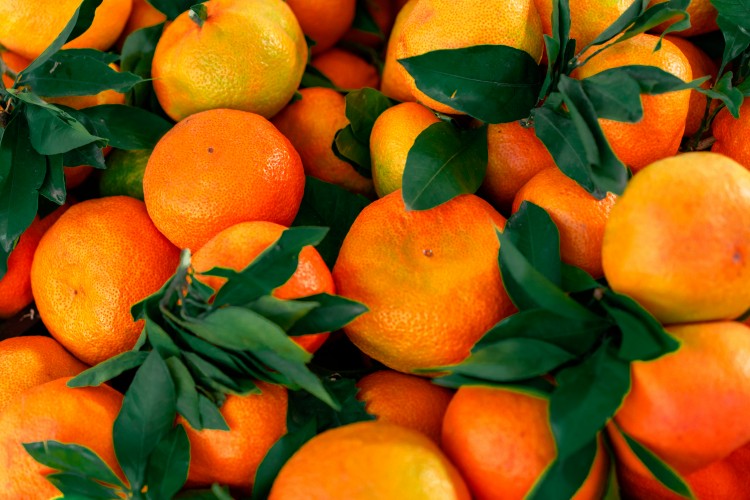 fresh-tangerine-background