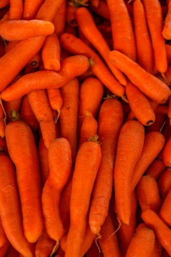 food-texture-with-carrots