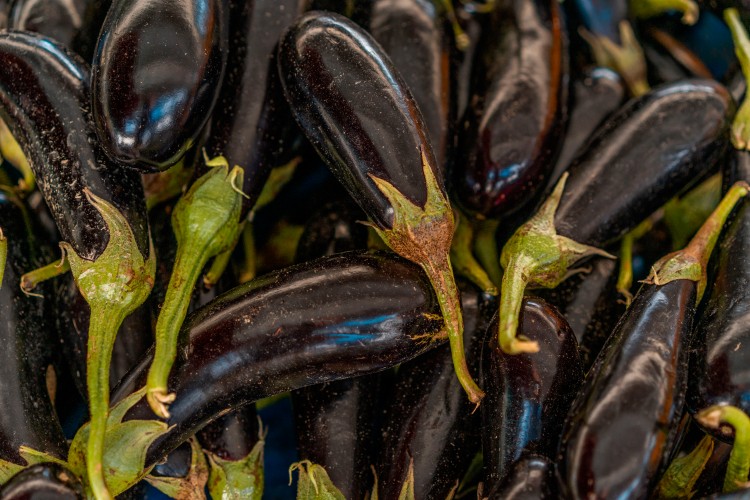 ripe-eggplant-background