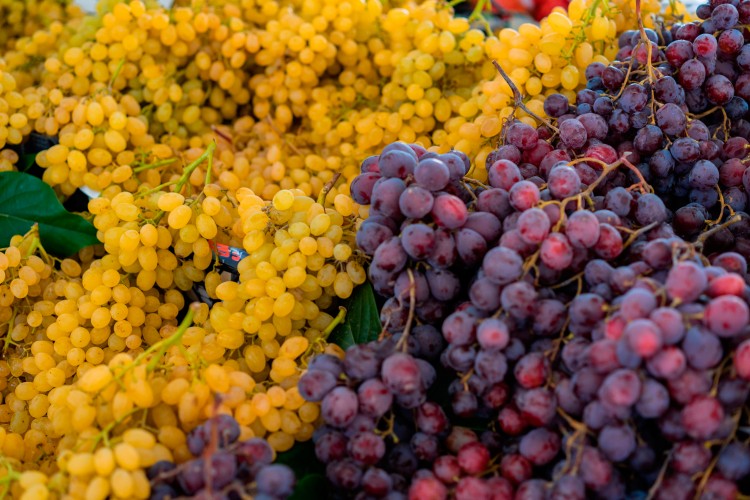 delicious-grapes-background