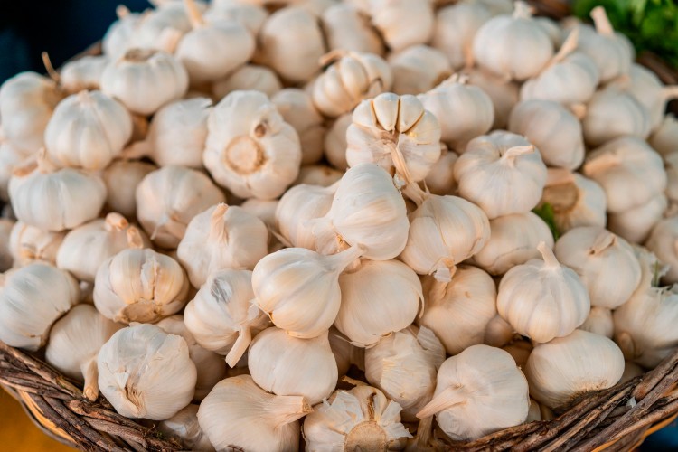 ripe-garlic-at-the-farmer-market