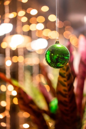 green-christmas-toy-on-the-blurred-background