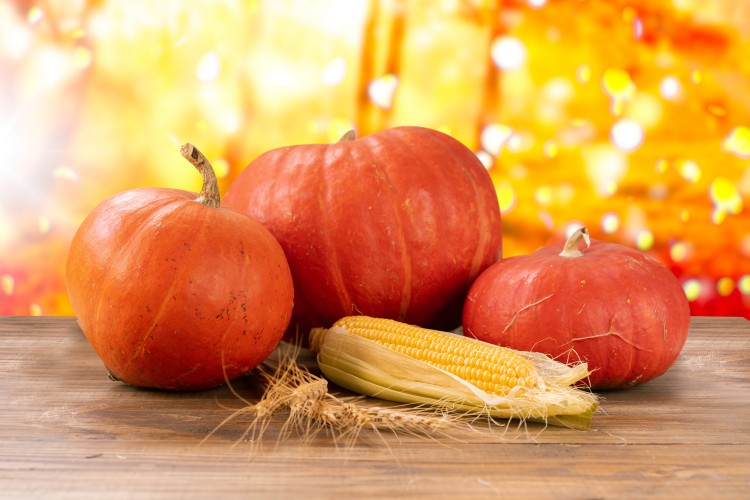 composition-with-pumpkins-and-corn