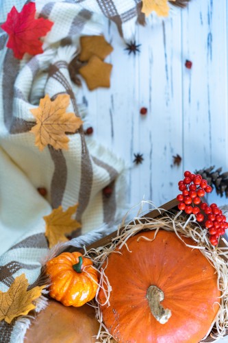 composition-of-pumpkins-in-a-wooden-box-with-autumn-elements