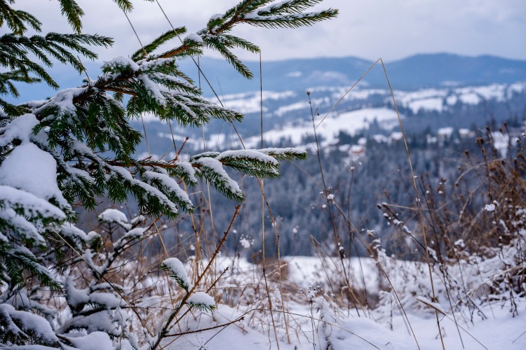 winter-nature-on-the-mountain-background