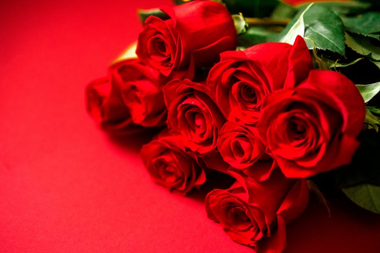beautiful-roses-on-a-red-background