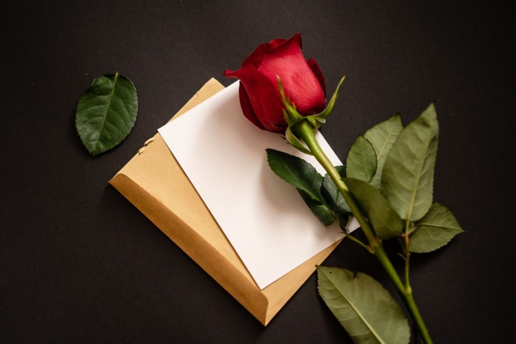 red-rose-with-an-envelope-on-a-dark-background