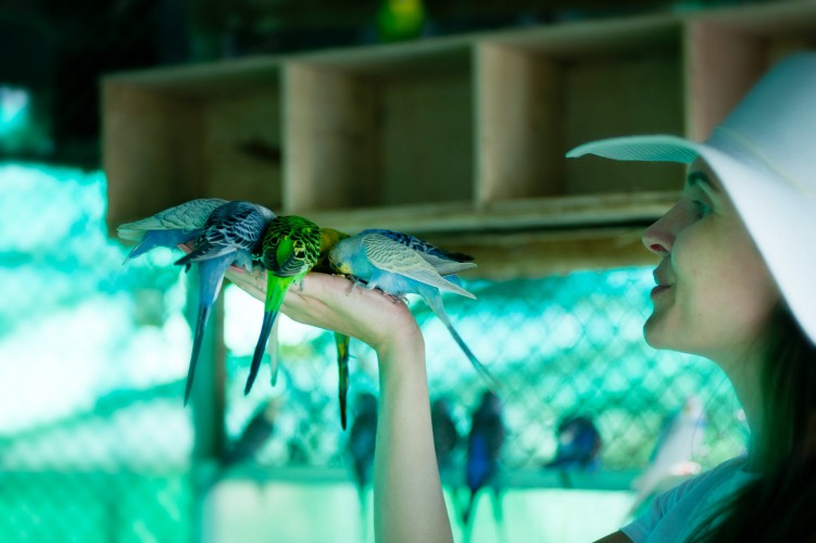 woman-in-hat-holding-parrots