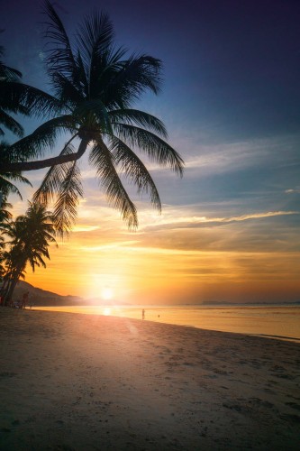 sunset-on-the-exotic-beach