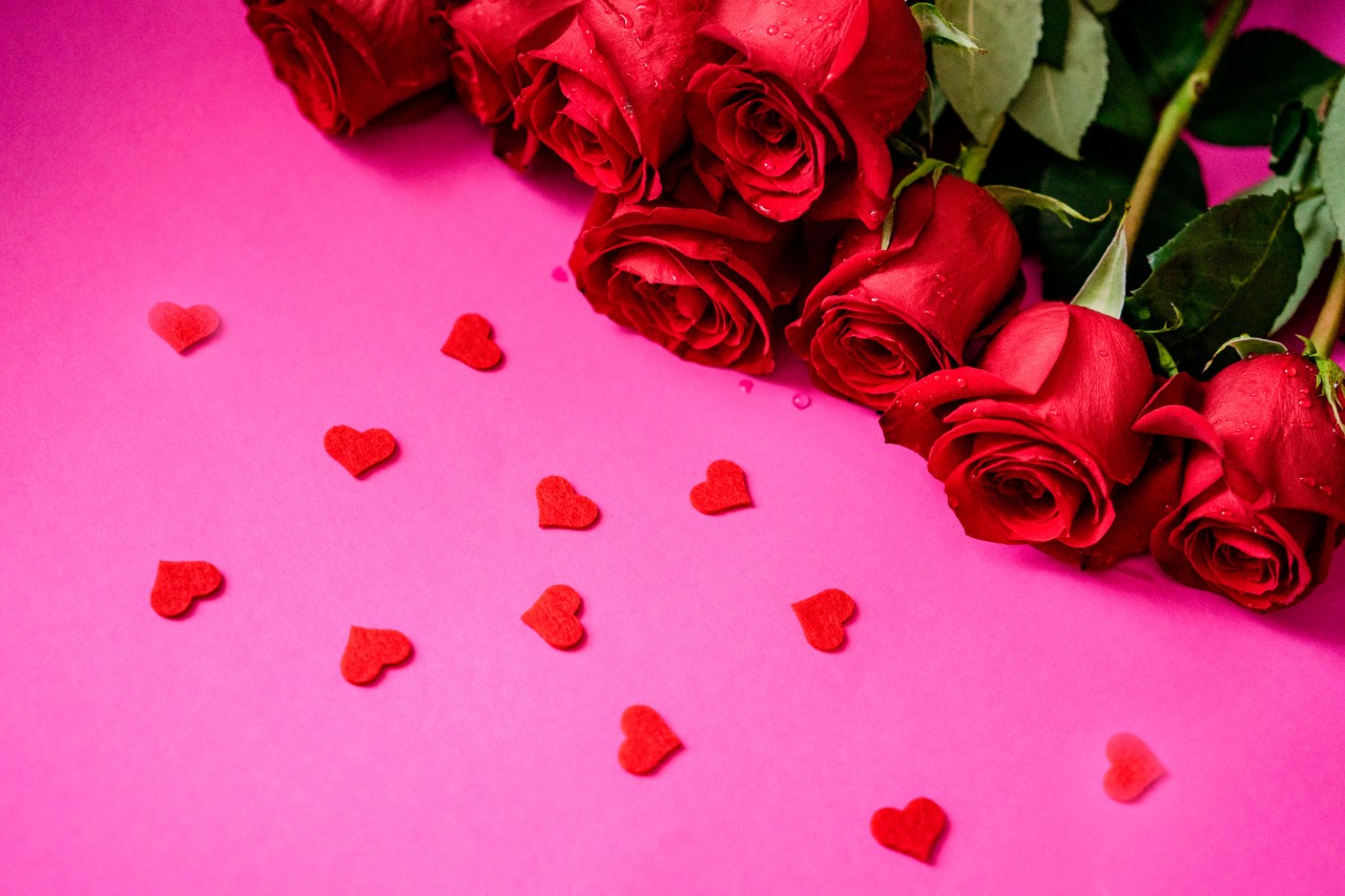 Roses and Decorative Hearts on a Pink Background 