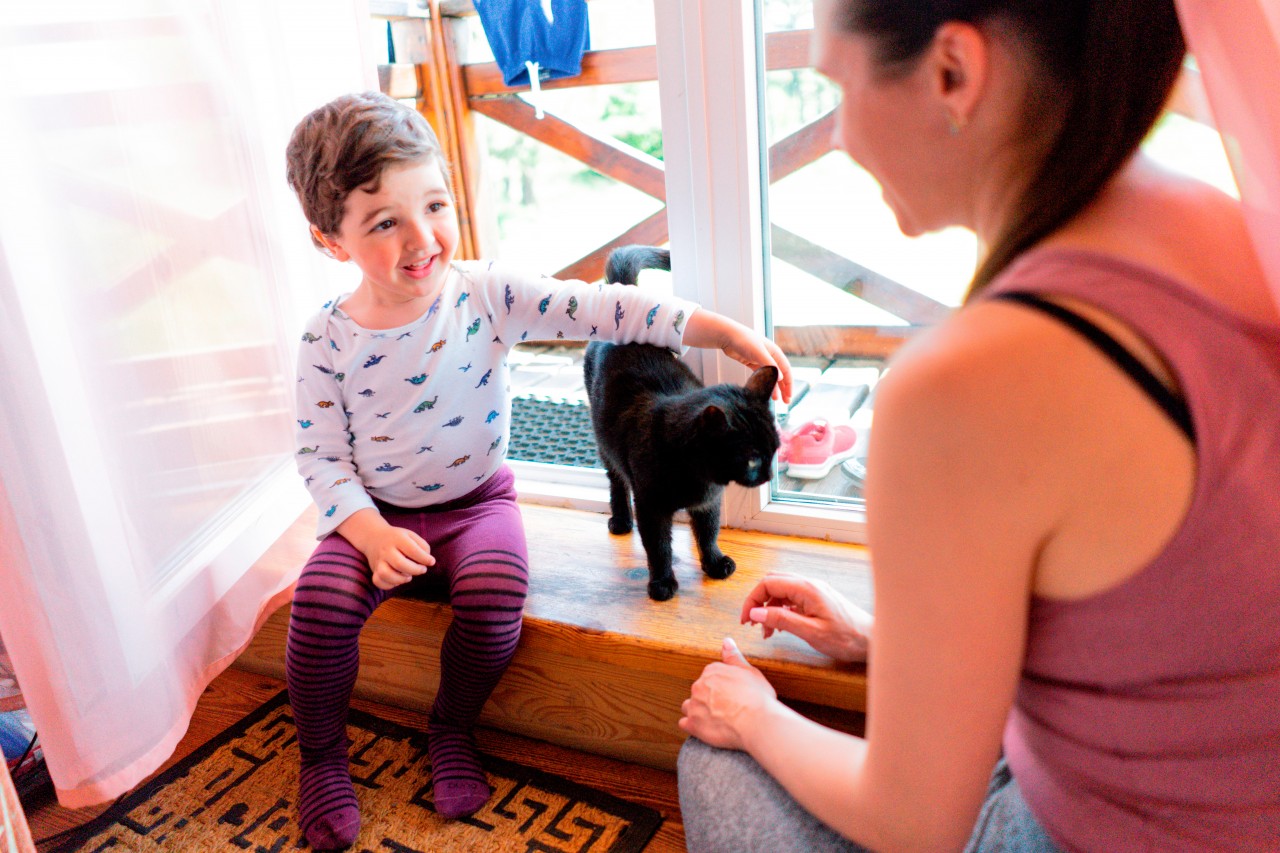 Cheerful kid plays with a black cat