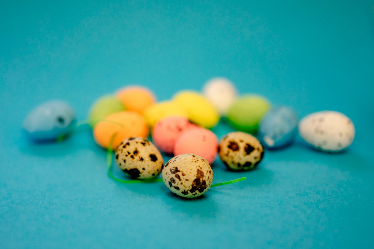 Wallpaper with colorful quail eggs