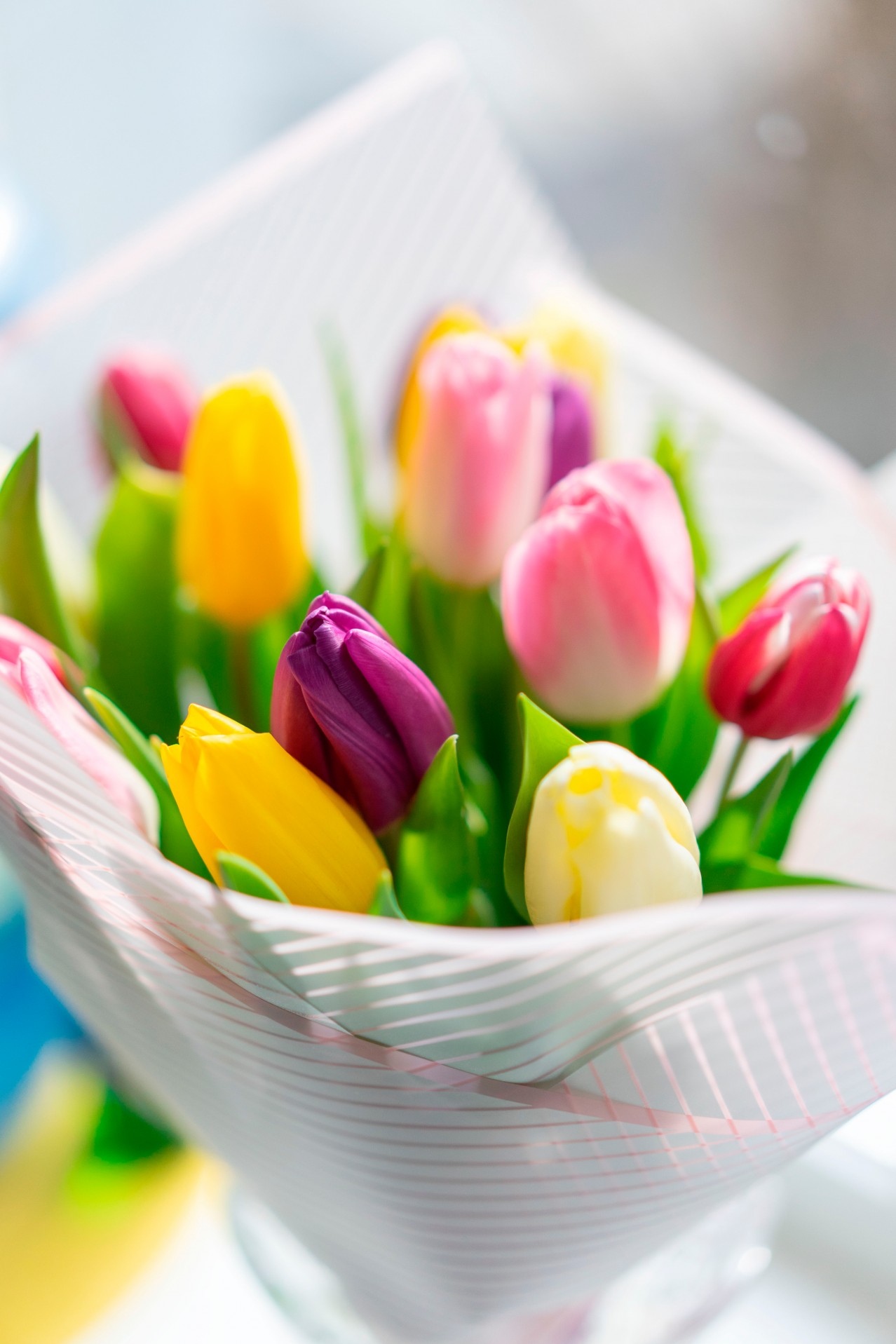 Bouquet of colorful spring tulips