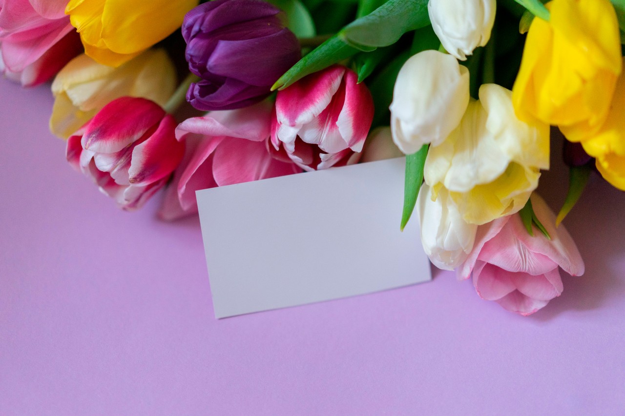 Spring Tulips with White Invitation Card