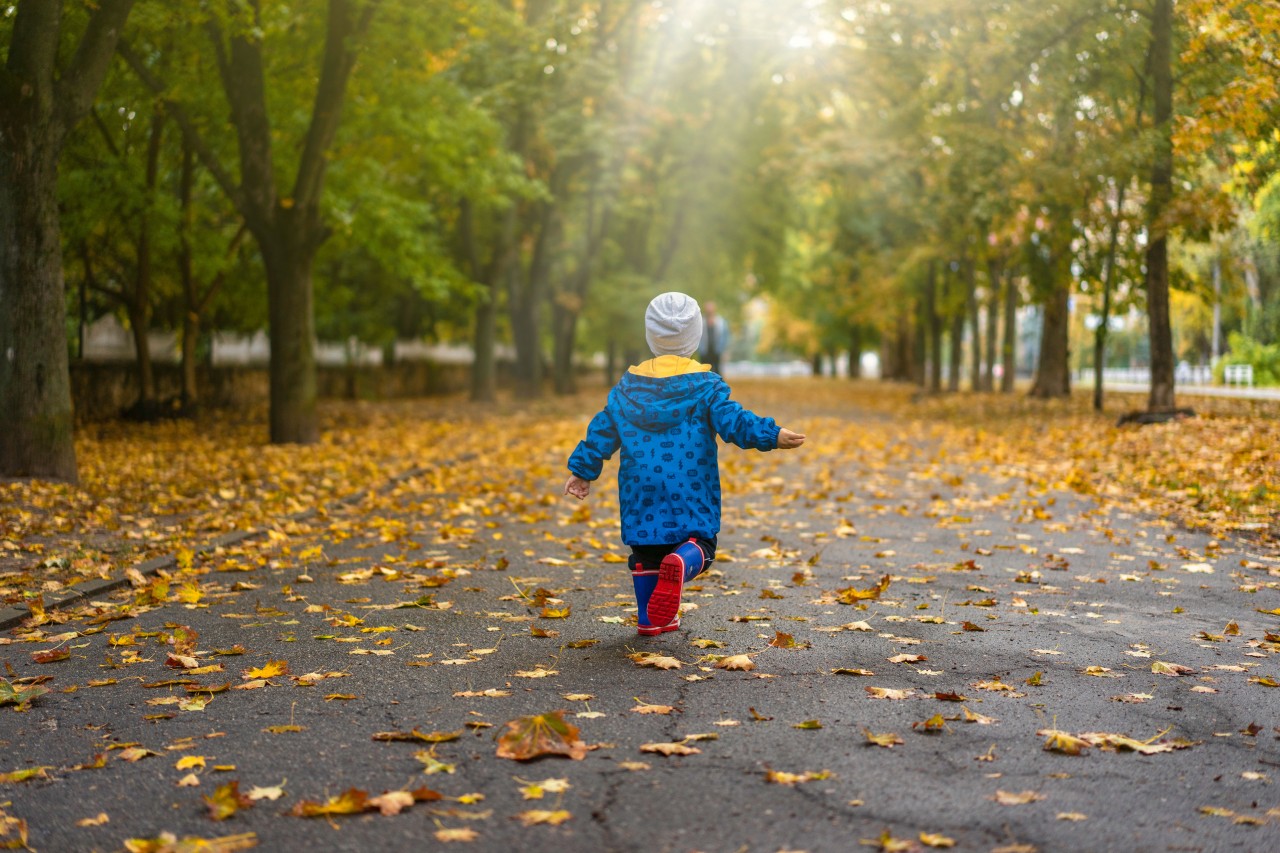 A little Boy in an Autumn Park