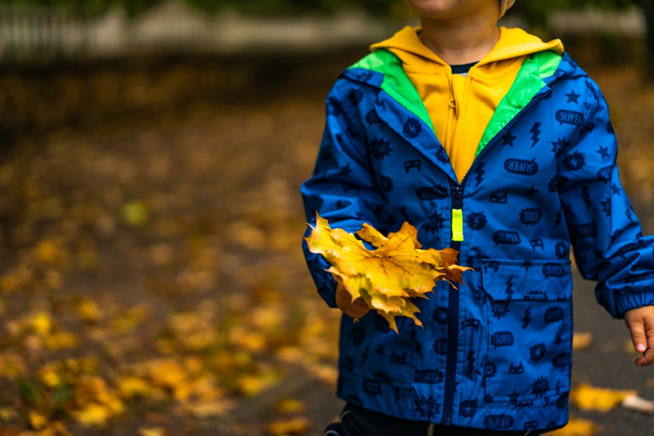Kid holding autumn leaves