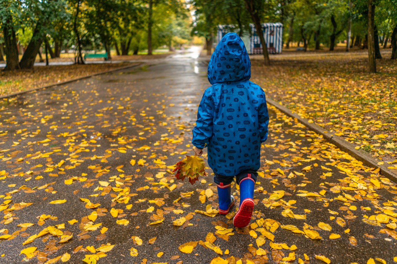Kid in blue raincoat walking in autumn park