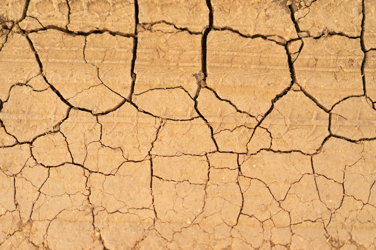 Dry ground texture