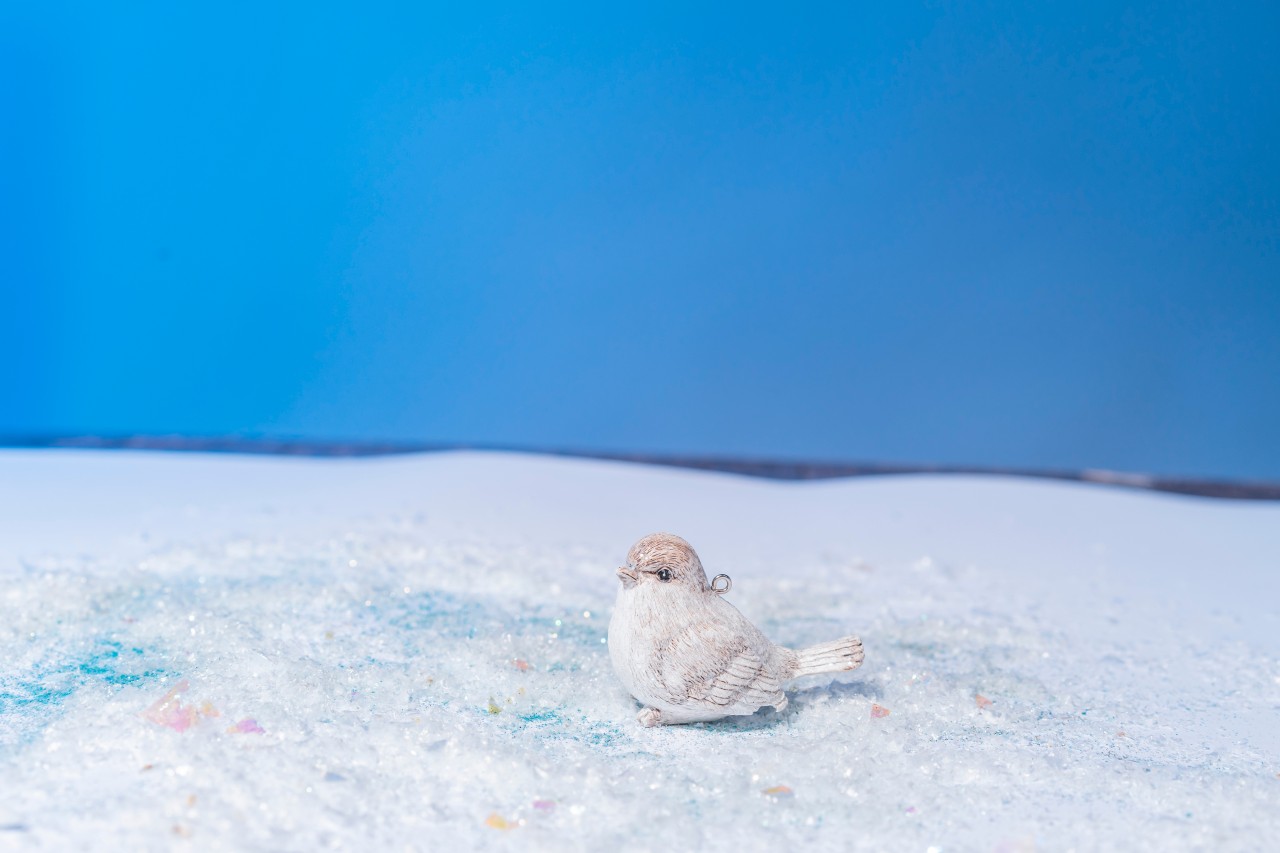 Christmas bird toy on the snow
