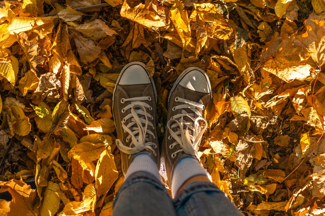 Female Legs in Sneakers on a Background of Autumn Leaves