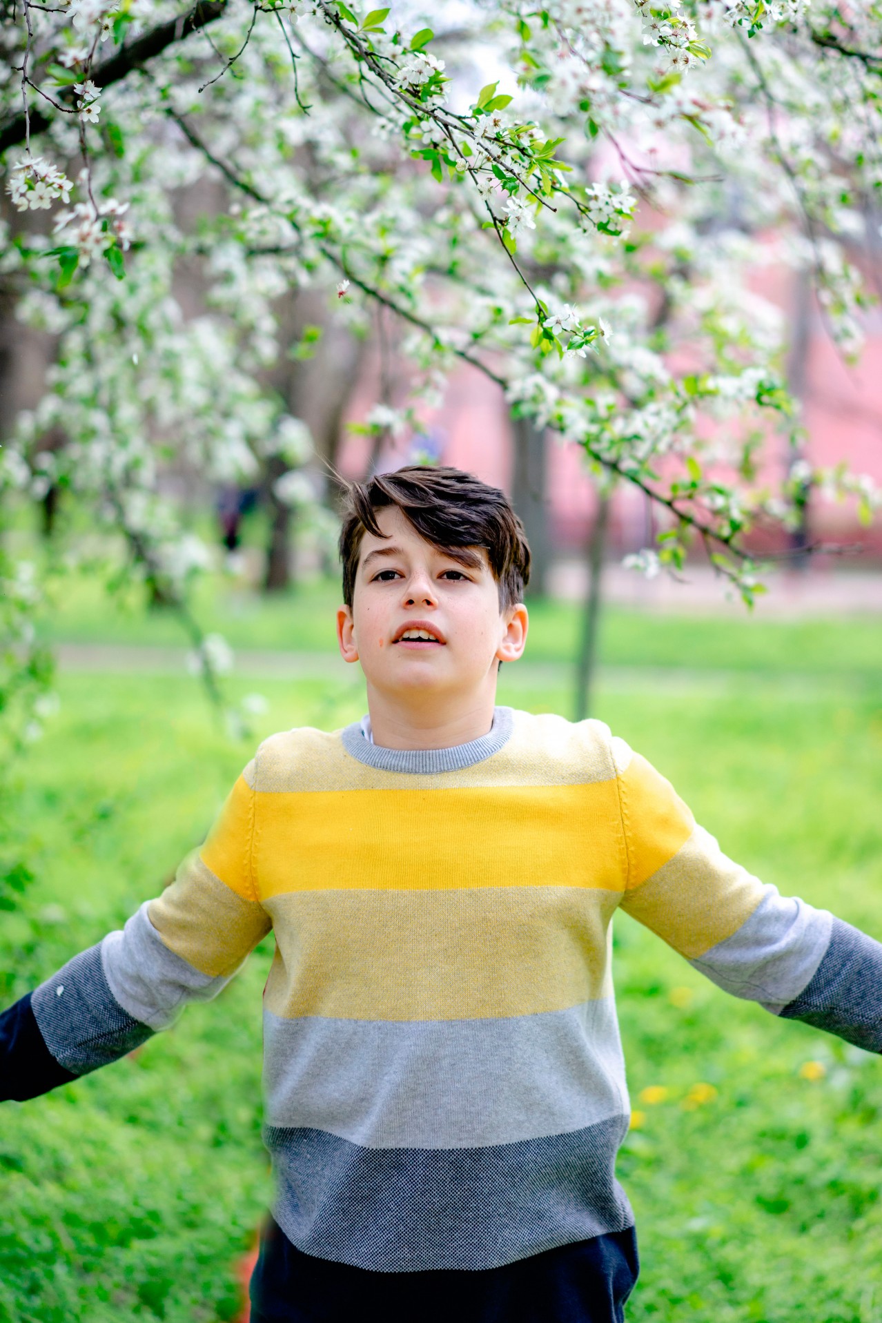 Boy in a sweater posing under blooming tree