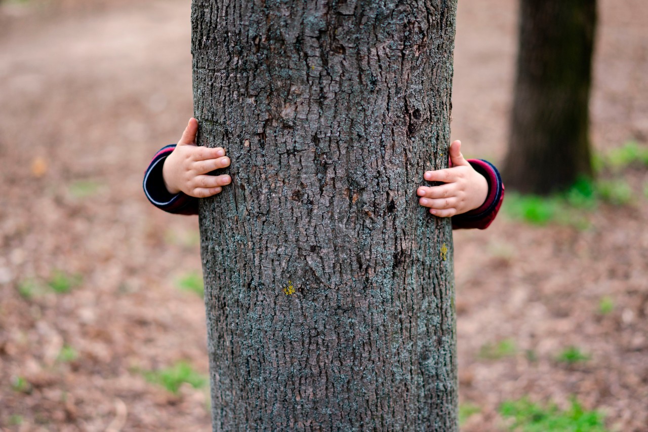 Kid is hiding behind the tree