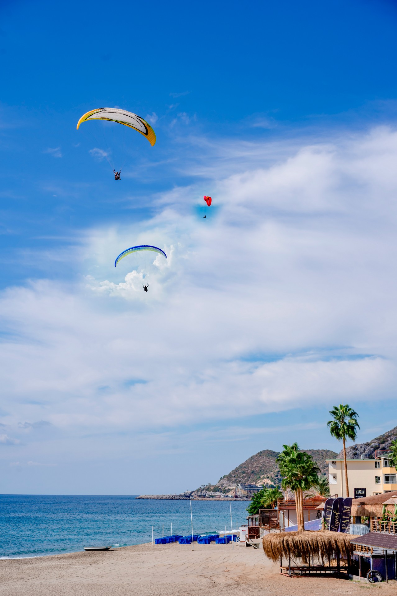 People paragliding in the sky at the sea coast