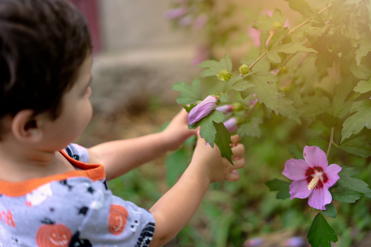 Cute Child Holds a Purple Flower in Hands